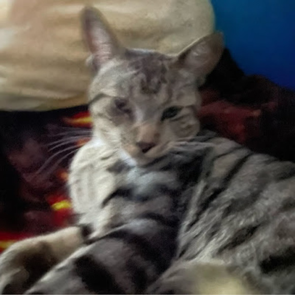 Meet your Posher, Sink - Picture 1 of 1